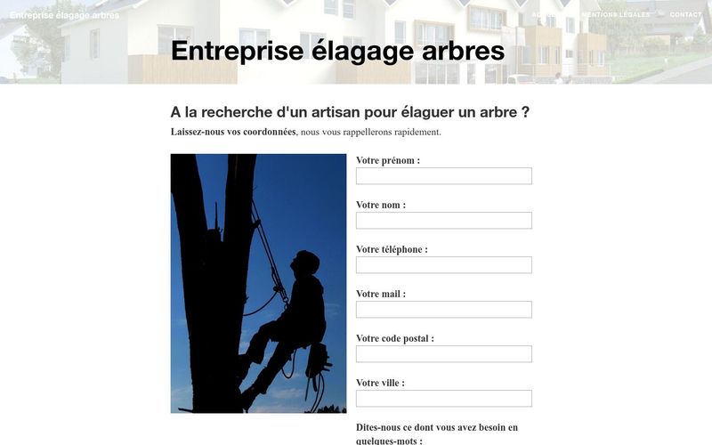 Comment contacter une entreprise d'élagage d'arbres ?