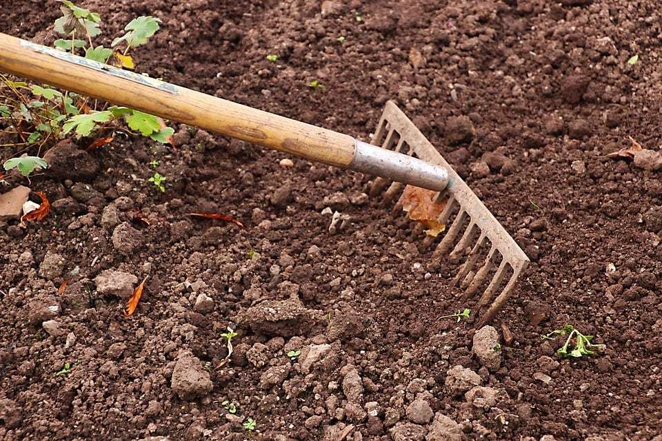 Créer un jardin écologique et durable