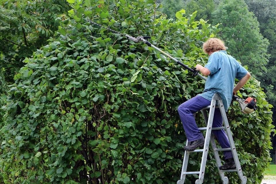 Réussir son projet extérieur avec un paysagiste dans la Creuse